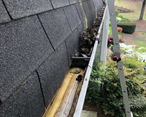 Gutter Cleaning in Atlanta, Suwanee, Sugar Hill, GA from a ladder