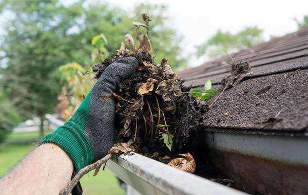 Summer Gutter Cleaning
