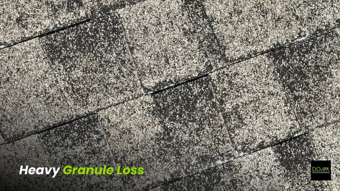 Severe granule loss on asphalt shingles showing extensive roof damage repaired by Dom Roofing & Restoration in Buford GA