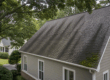 Black algae streaks and moss on asphalt shingles in humid Georgia