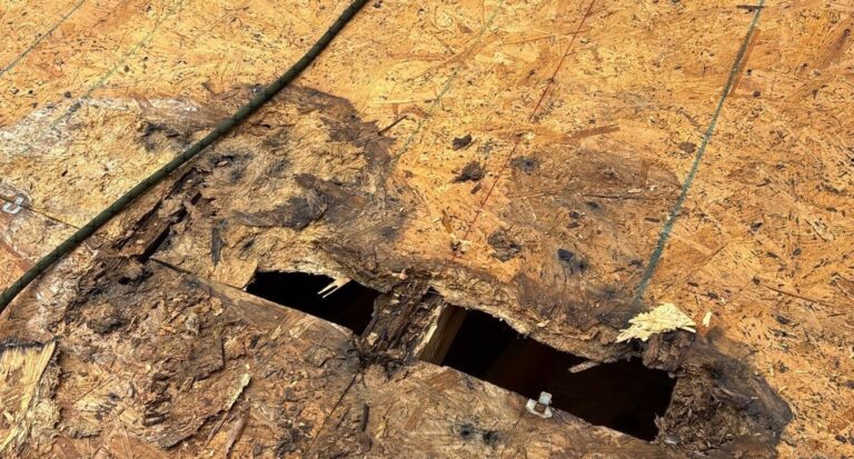 Damaged roof decking exposed during tear-off