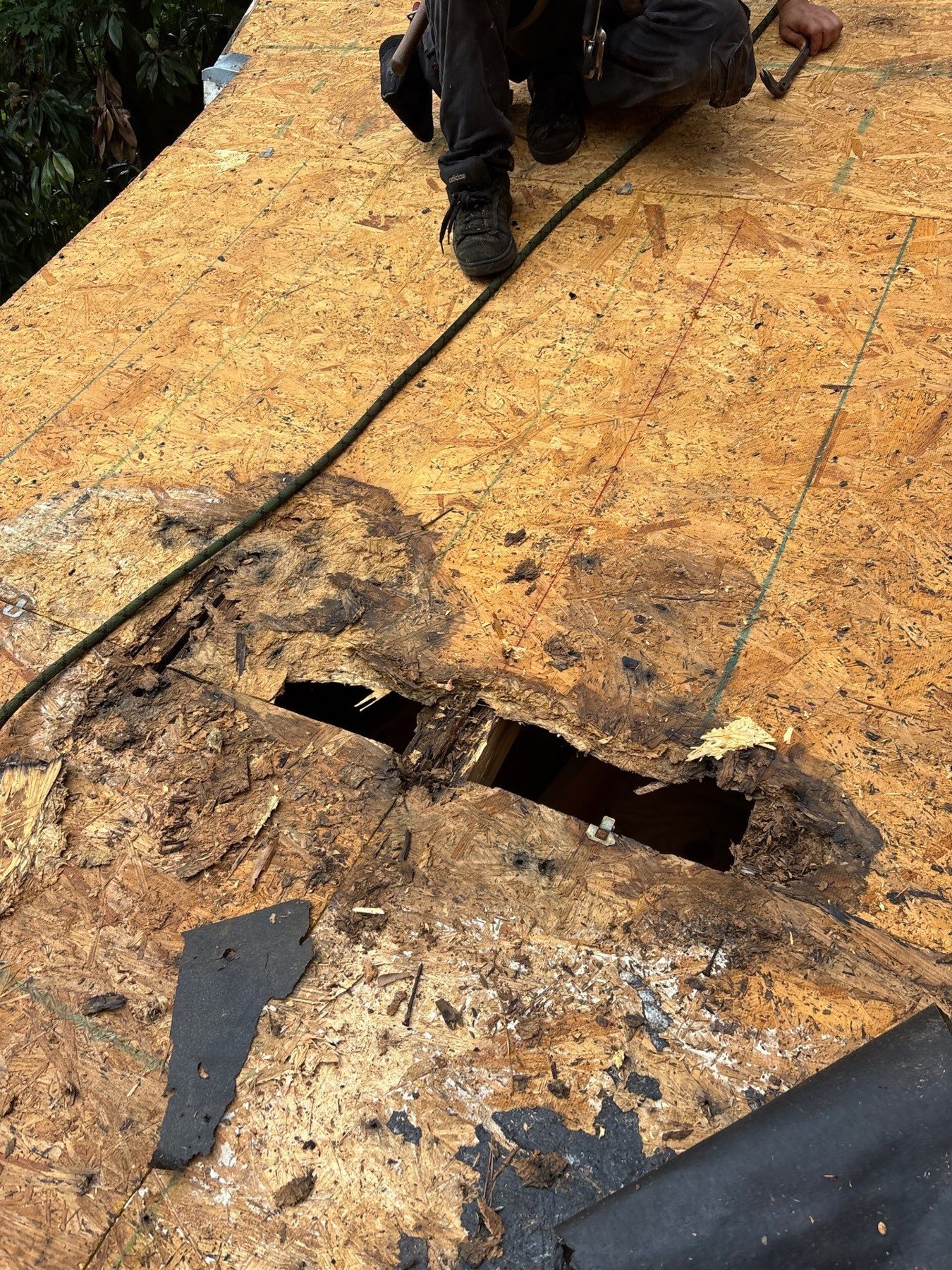 dom-real-decking-01 Damaged roof decking exposed during tear-off