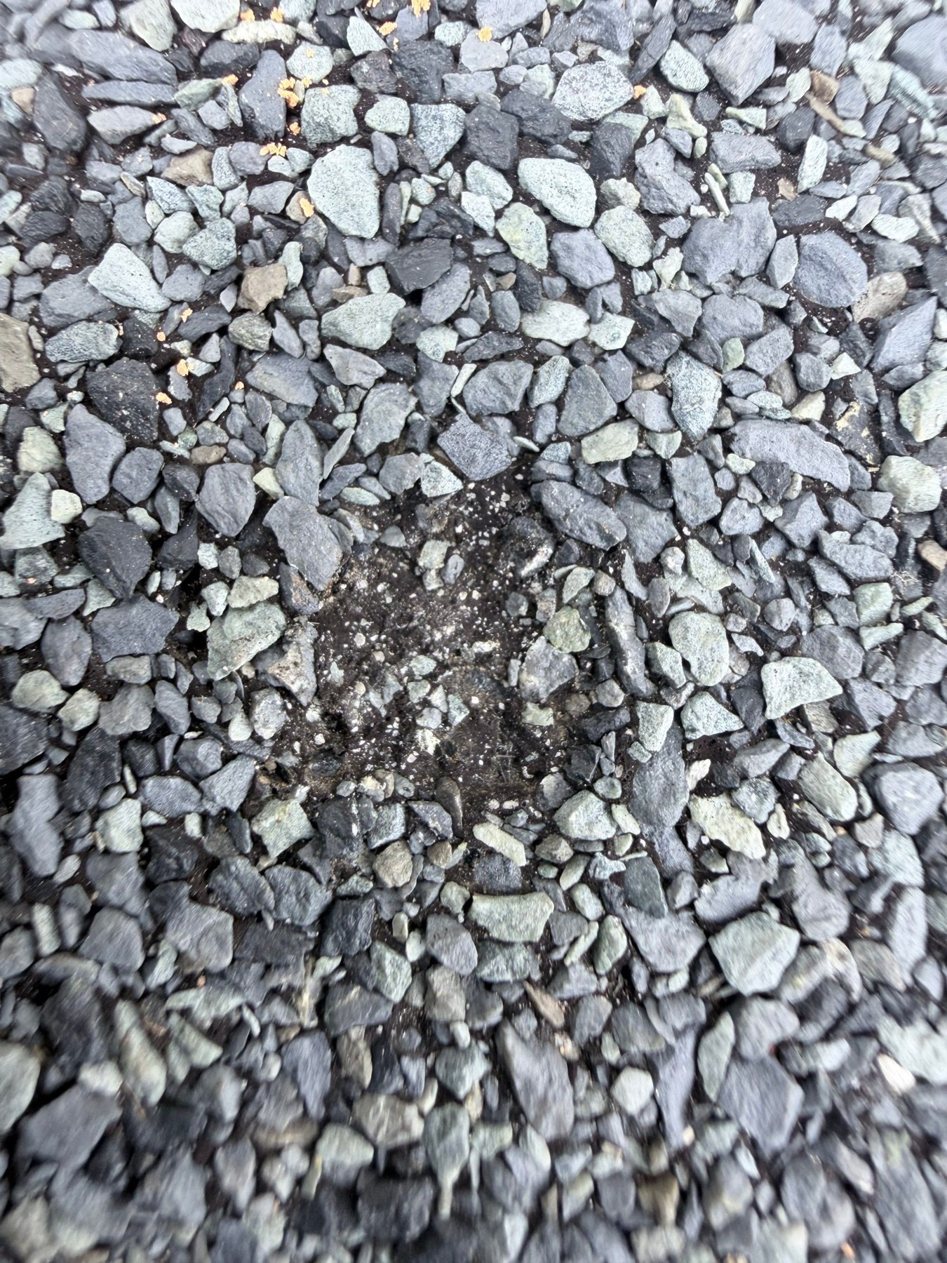dom-real-hail-01 Close-up of a localized mark and granule loss on an asphalt shingle