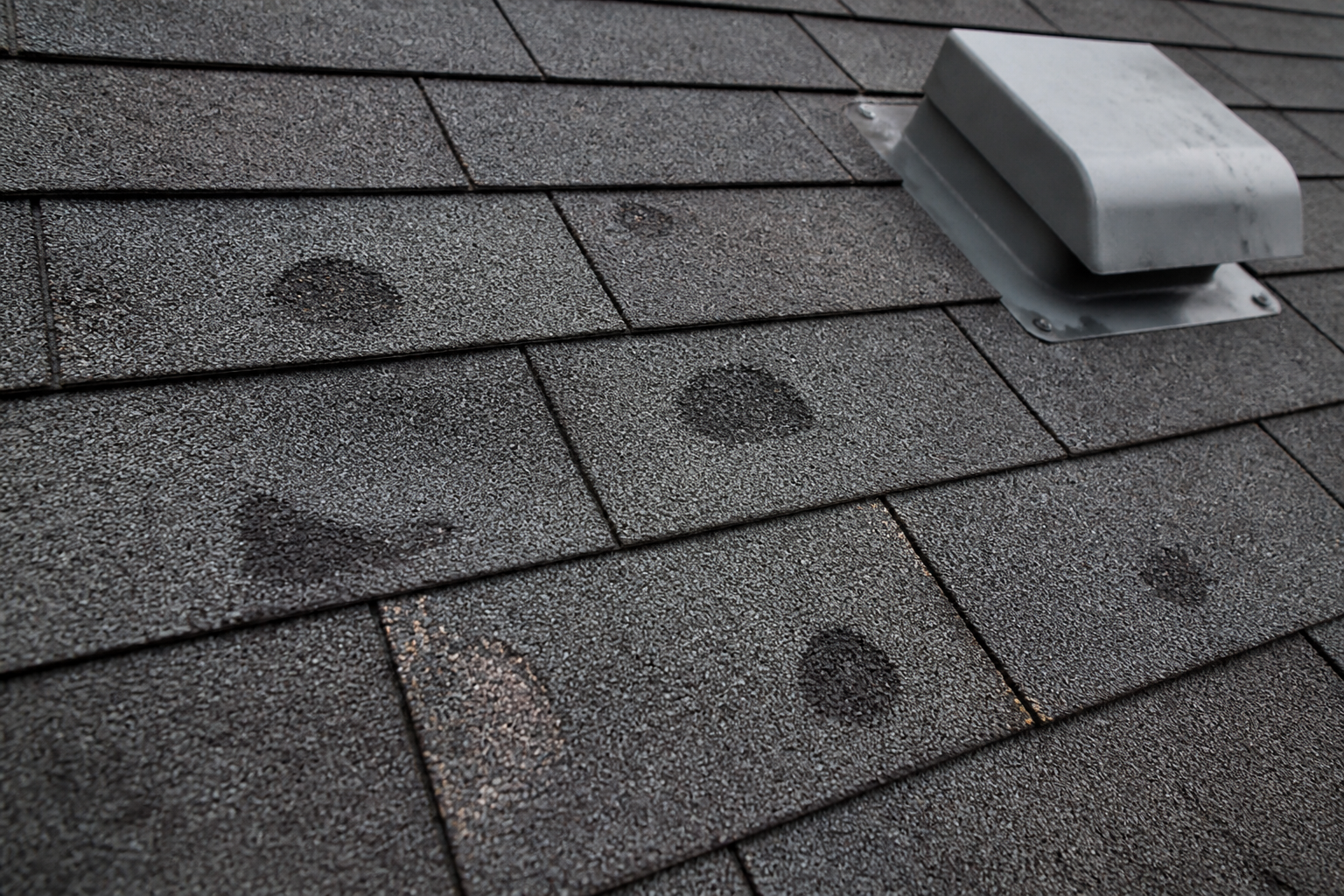 What Does Hail Damage Look Like on a Roof? (Photo Guide) 1 Hail damage marks and granule loss on asphalt roof shingles in Georgia