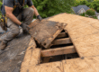 Rotted roof decking panel being replaced during a Georgia roof project