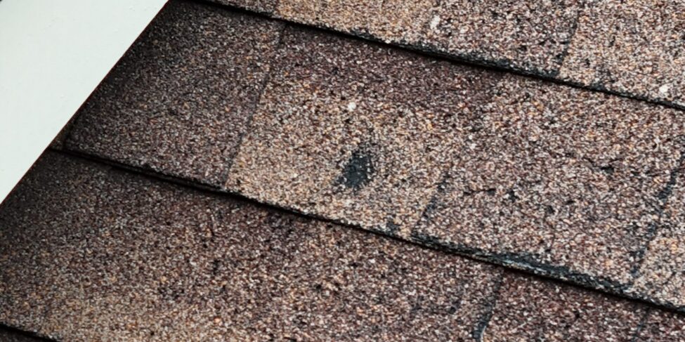 Close-up of asphalt shingles with a localized impact-like mark and missing granules